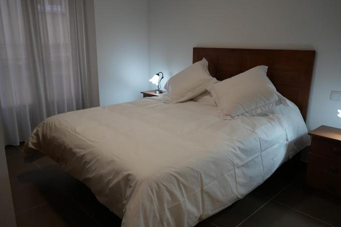 Apartamentos Turisticos Empecinado Roa ภายนอก รูปภาพ